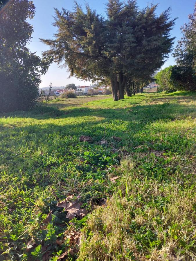 Quinta Cunte - Casa Sobreiro Villa Sao Luis Luaran gambar