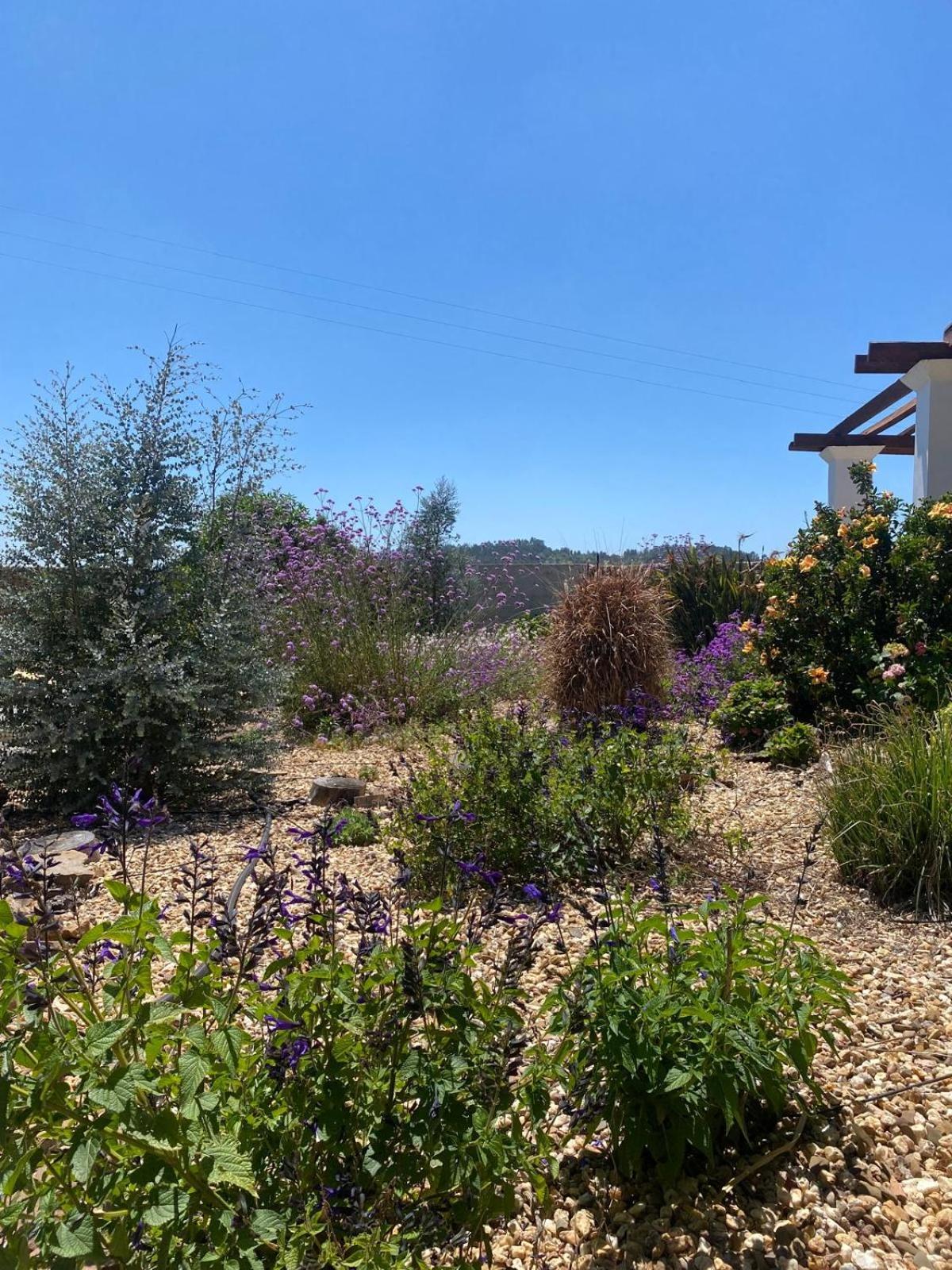 Quinta Cunte - Casa Sobreiro Villa Sao Luis Luaran gambar