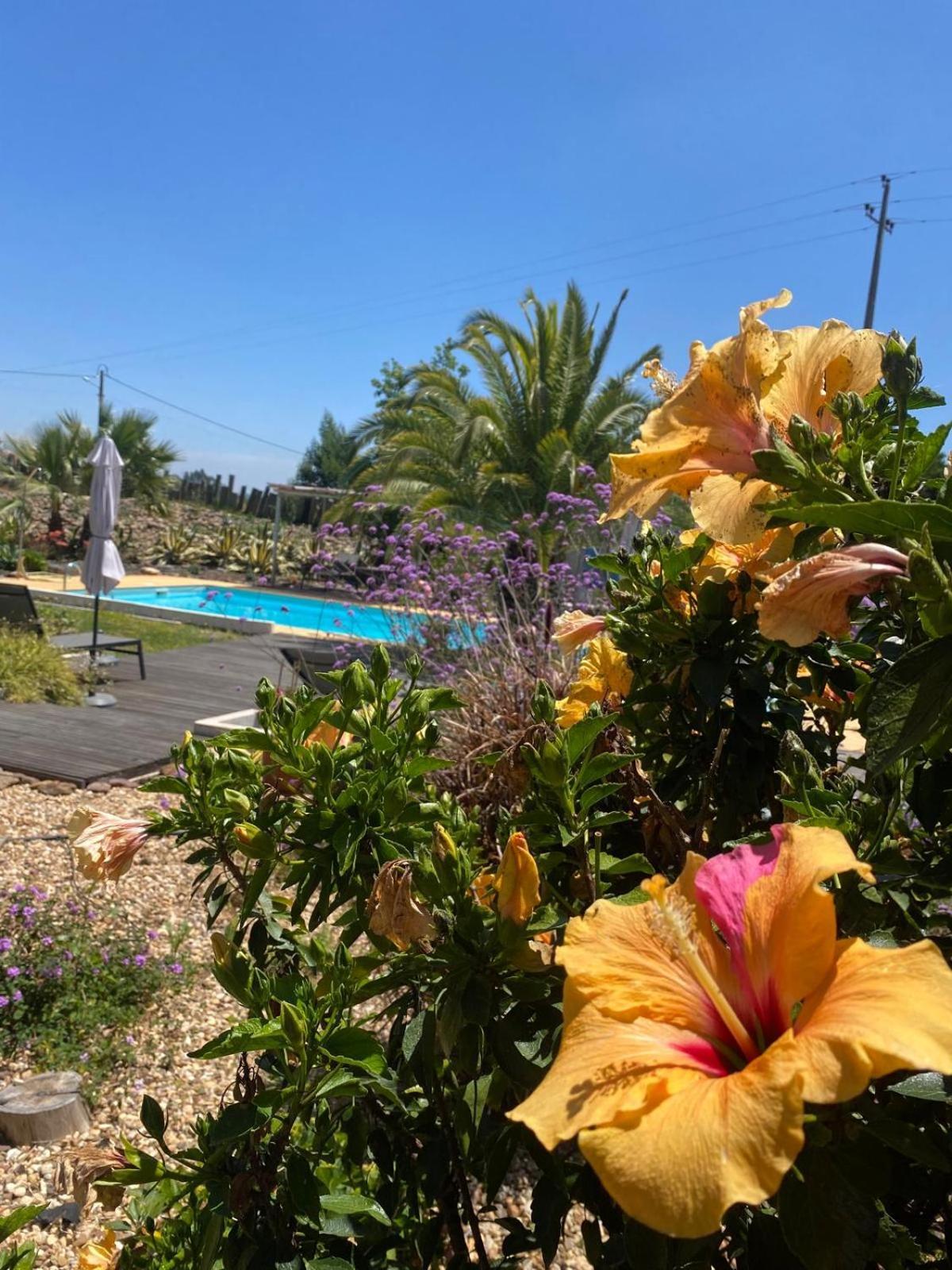 Quinta Cunte - Casa Sobreiro Villa Sao Luis Luaran gambar