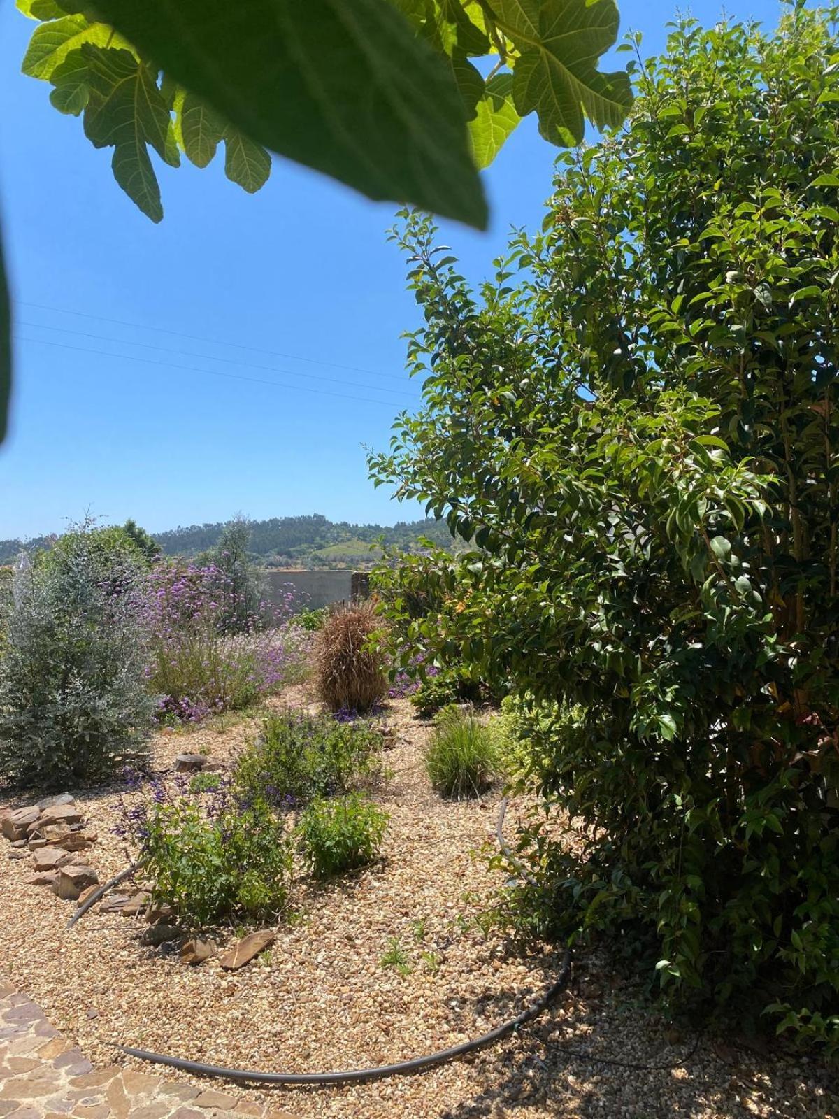 Quinta Cunte - Casa Sobreiro Villa Sao Luis Luaran gambar